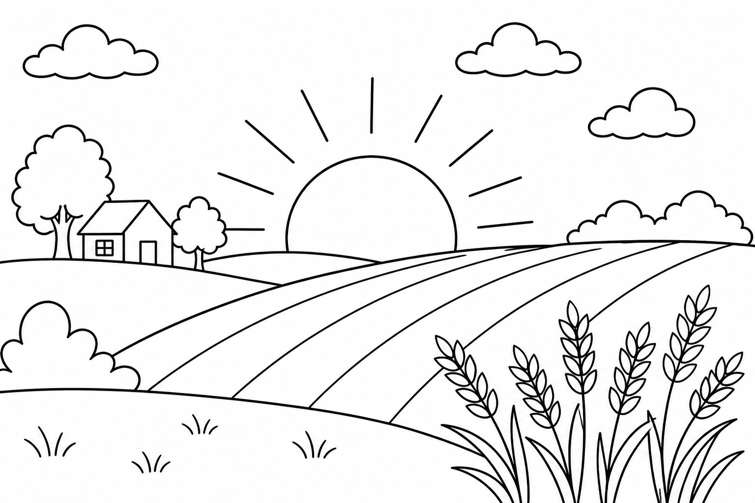 Champ au coucher du soleil