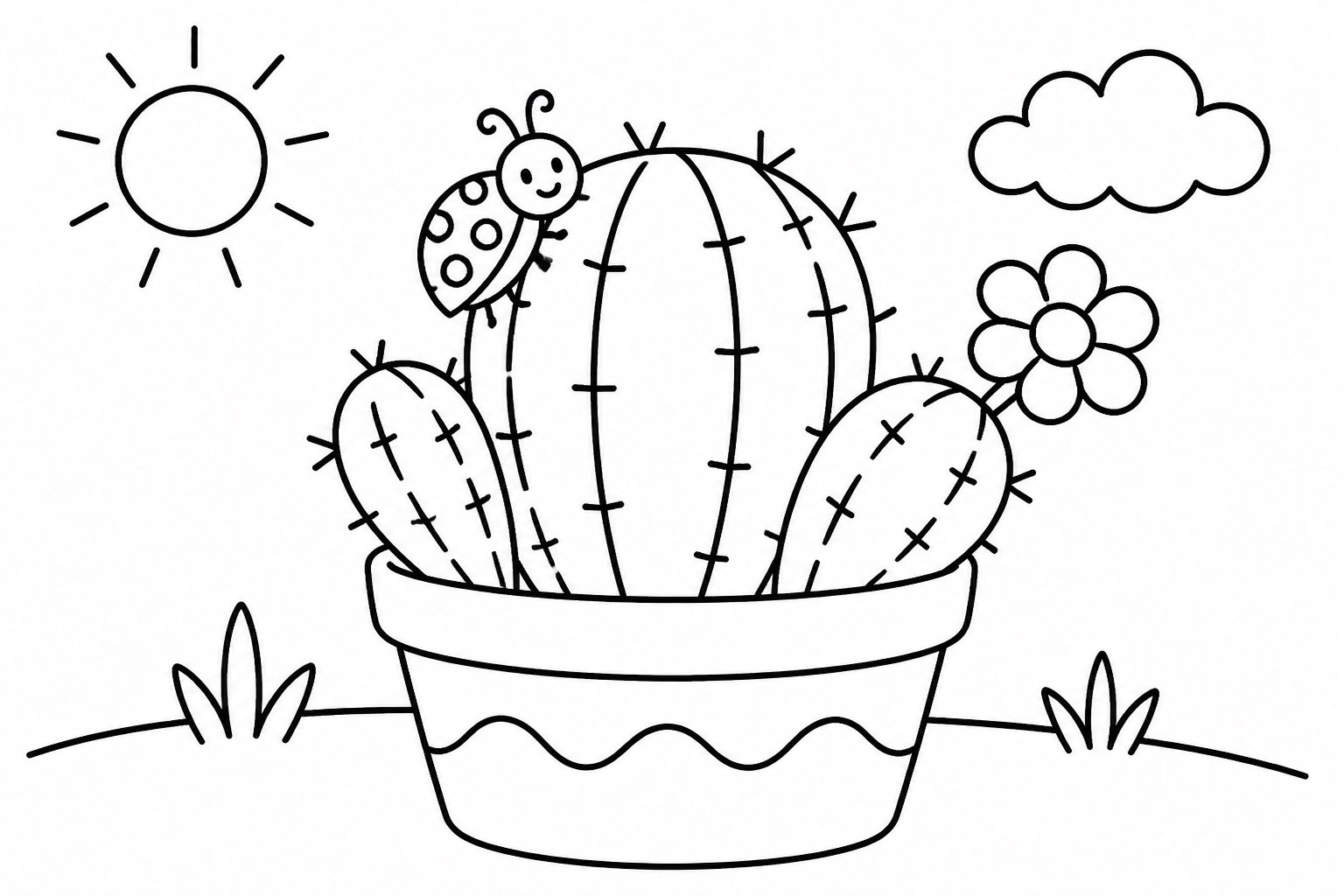 Coccinelle sur un cactus en pot