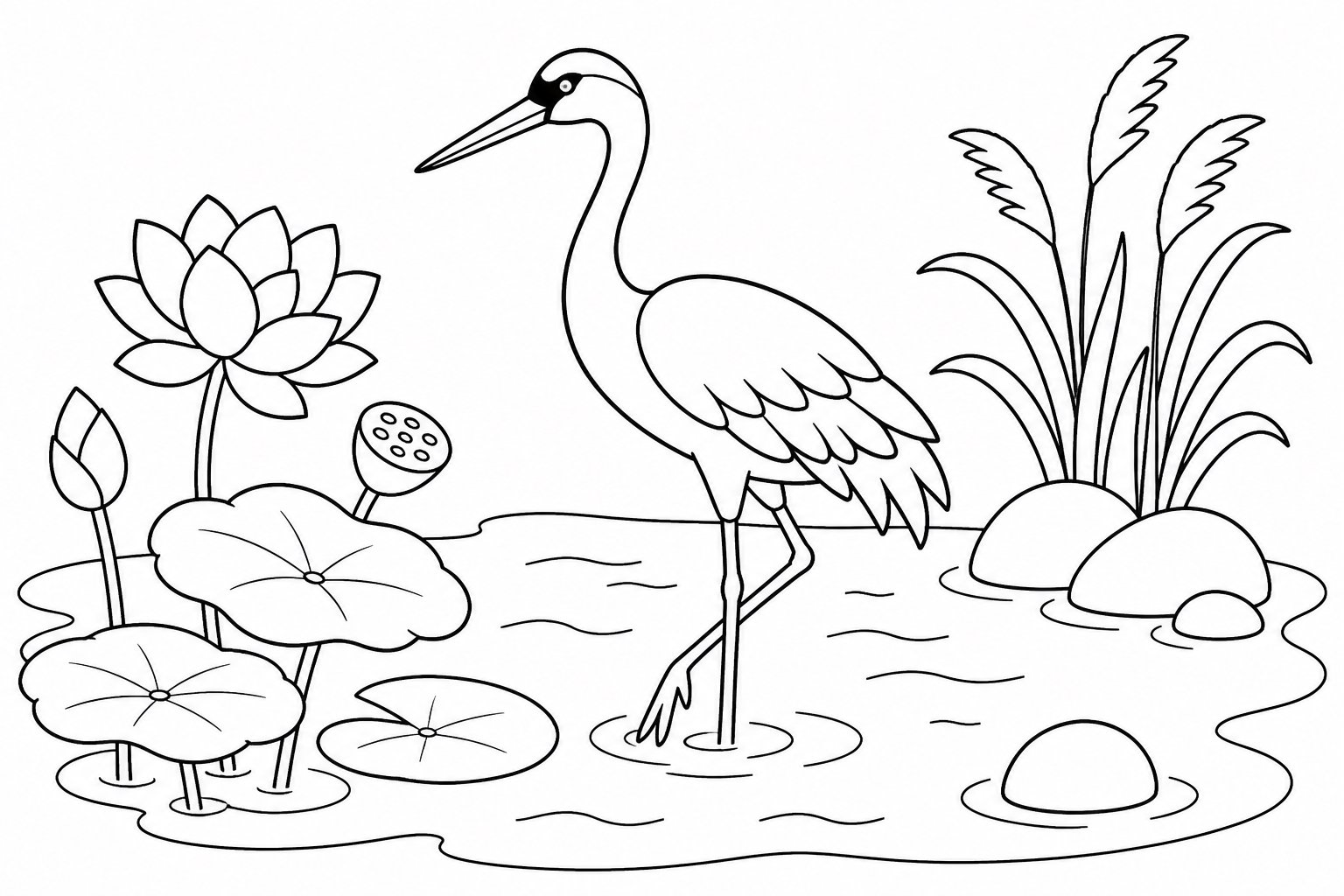 Grulla blanca sobre un estanque de lotos