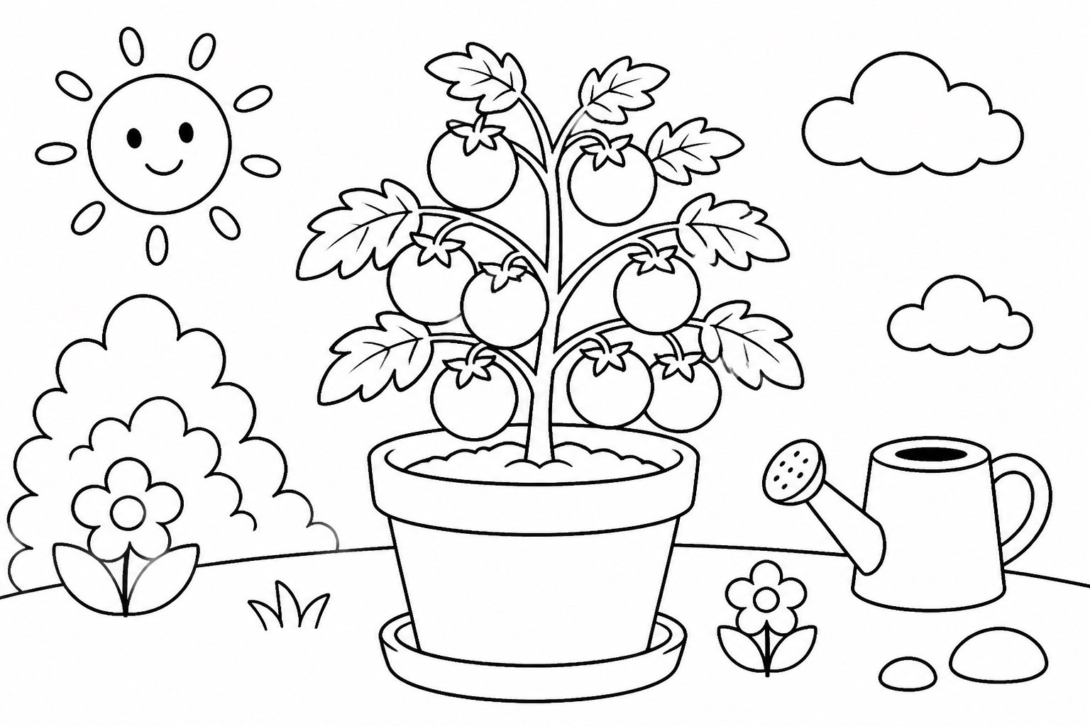 植木鉢のミニトマト