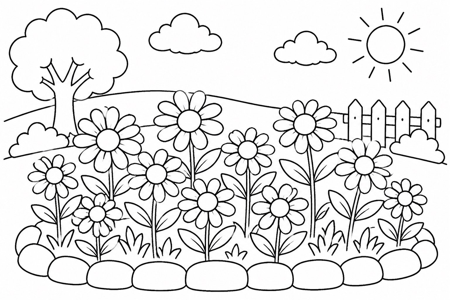 Parterre de marguerites dans le jardin