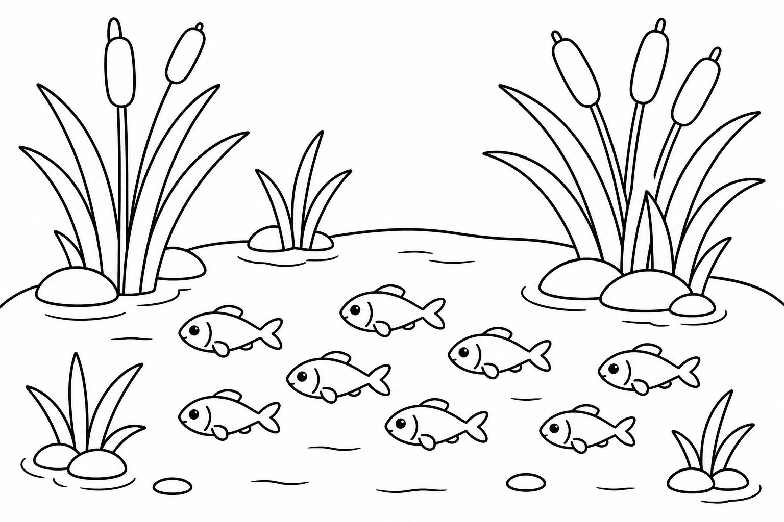 Banc de petits poissons dans les eaux peu profondes