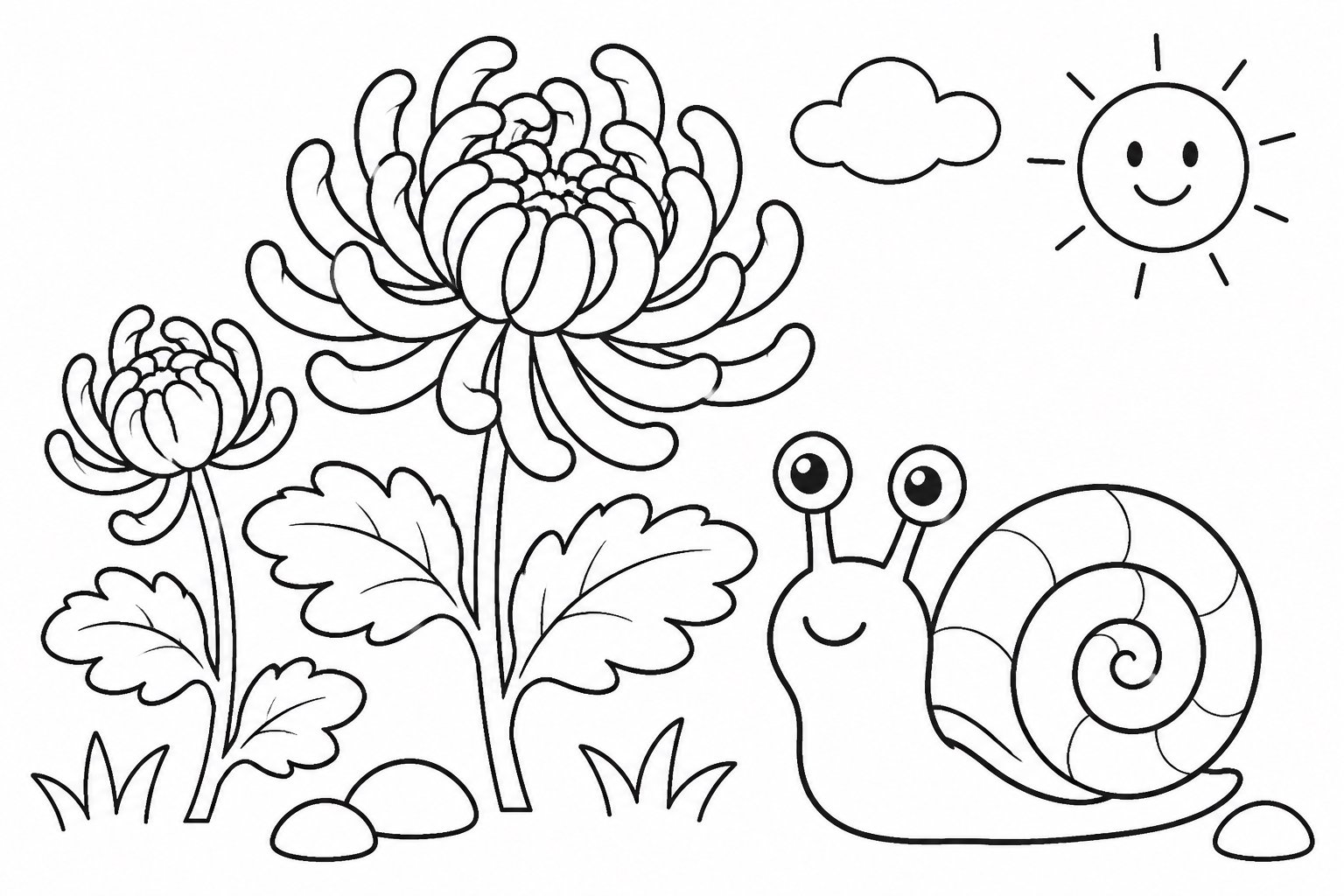 Pequeño caracol junto a los crisantemos