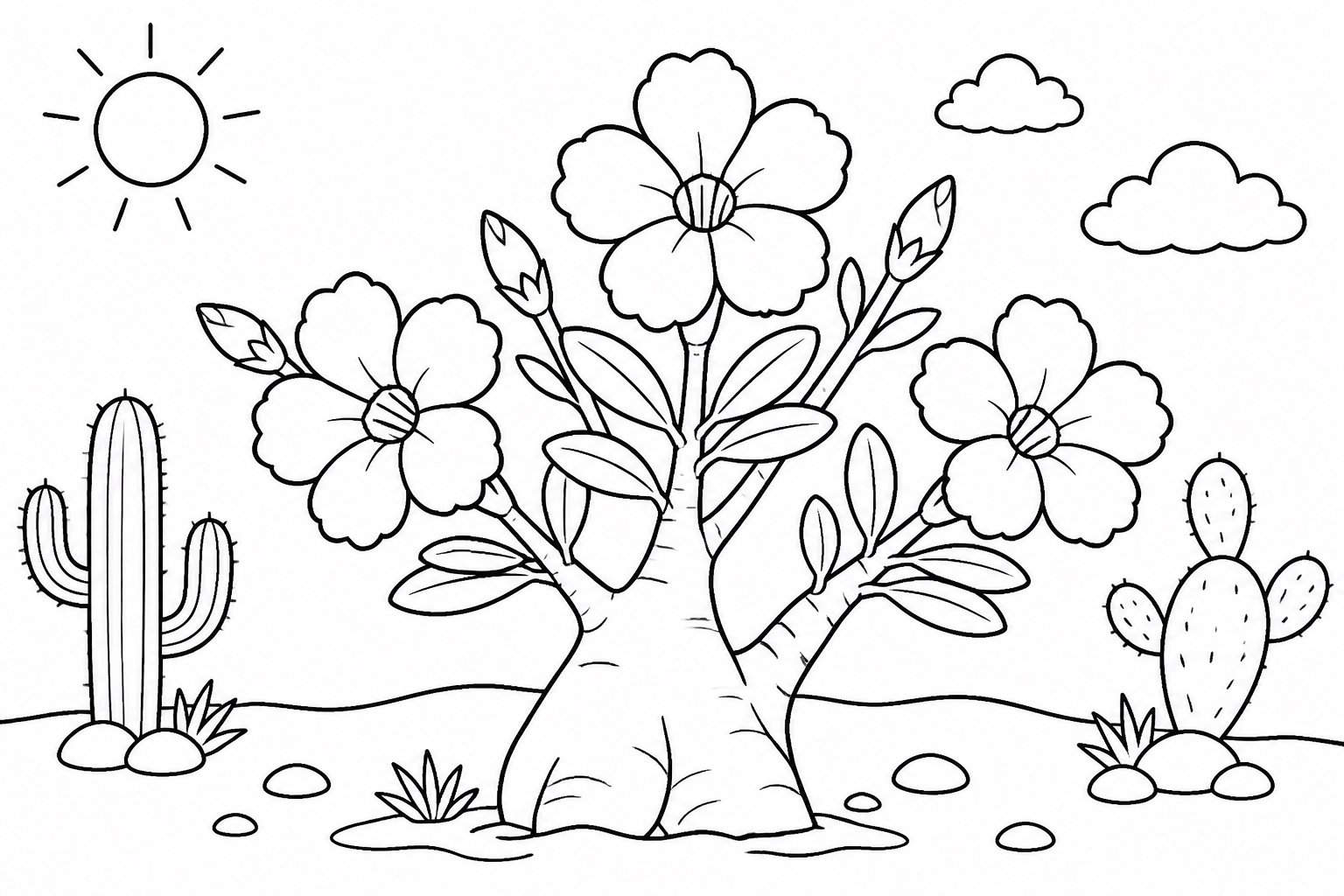 Rose du désert en fleurs