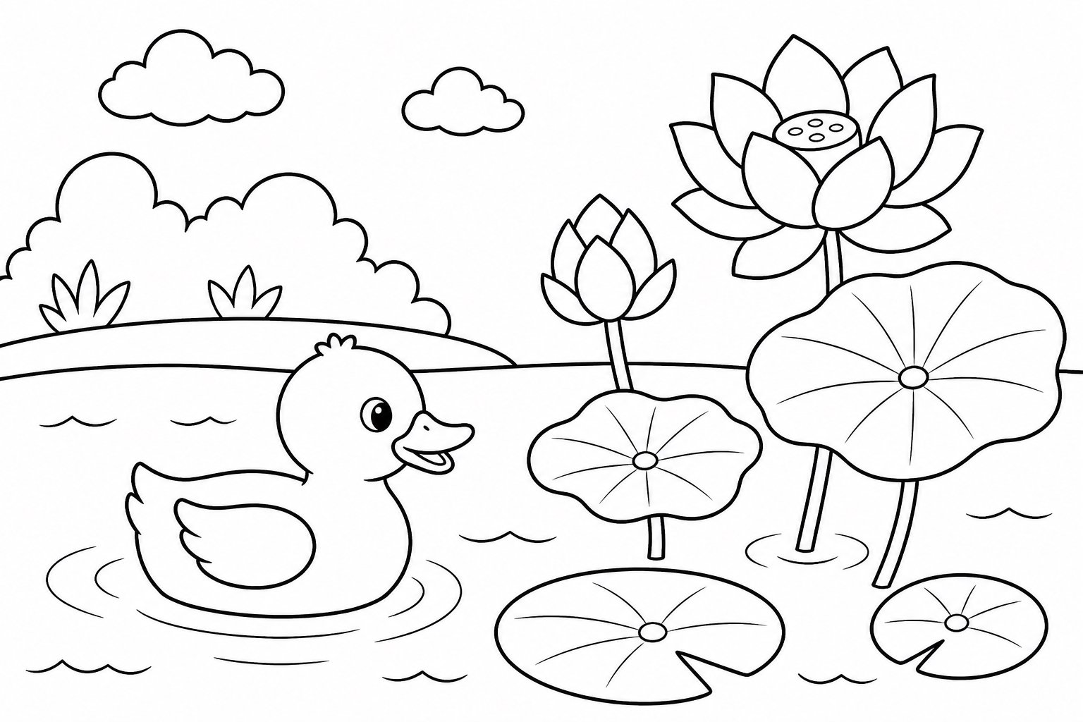 小鸭游过荷花旁