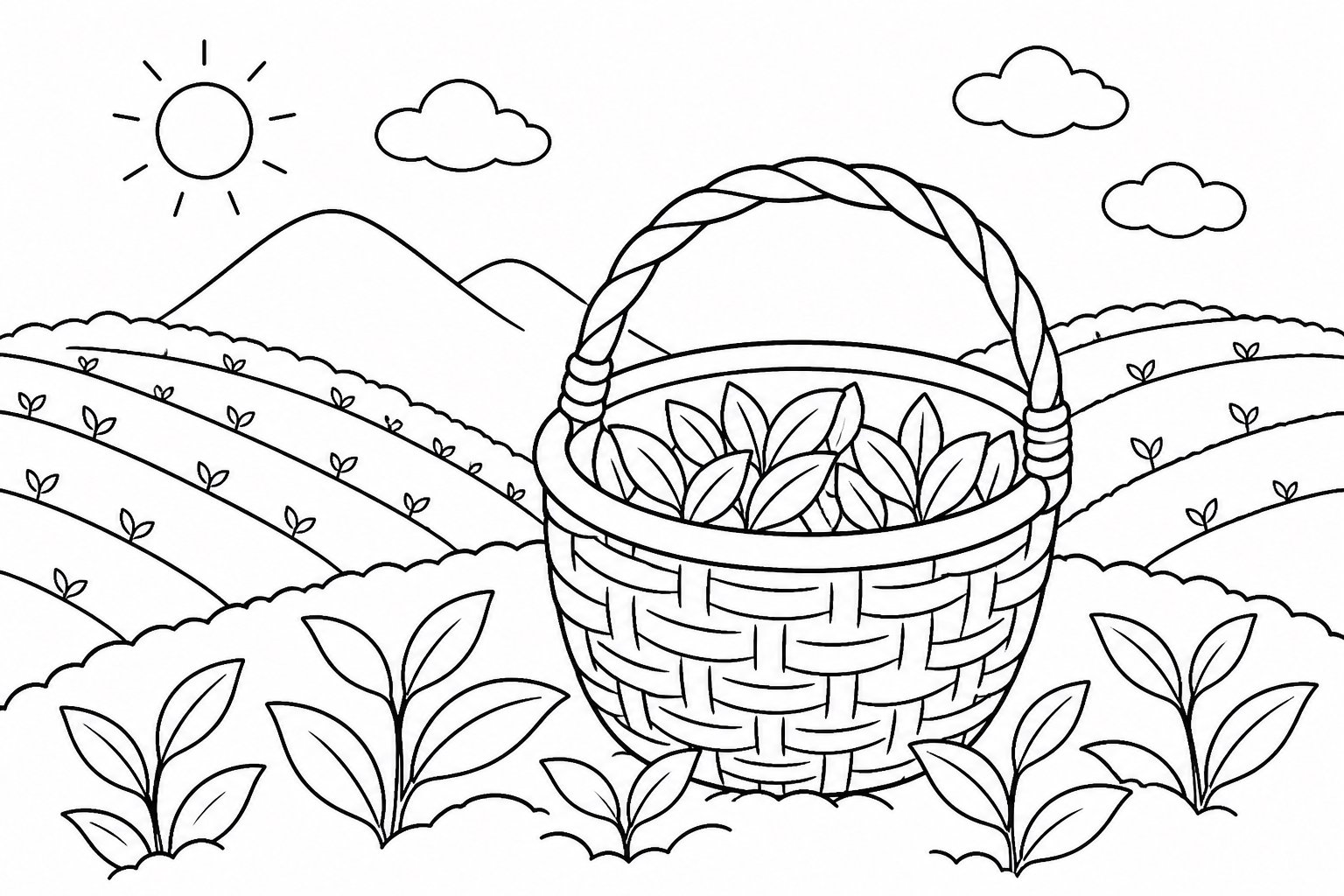 Cesta para recoger té en un jardín de té