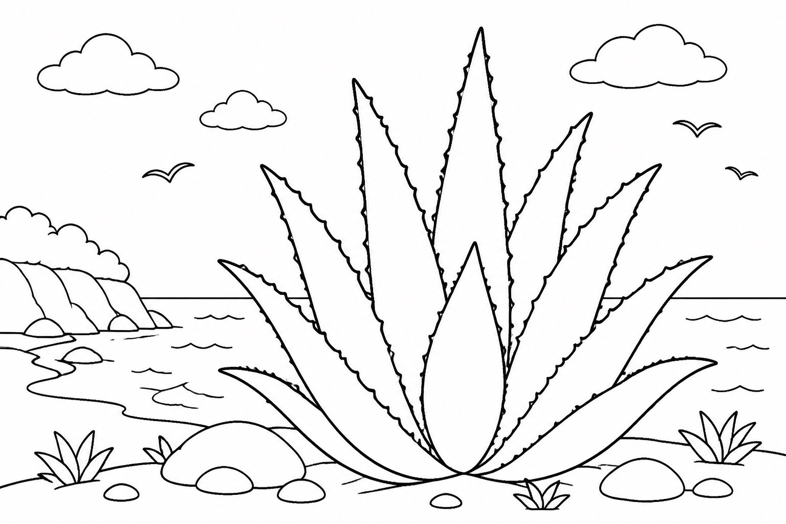 海风中的高大芦荟