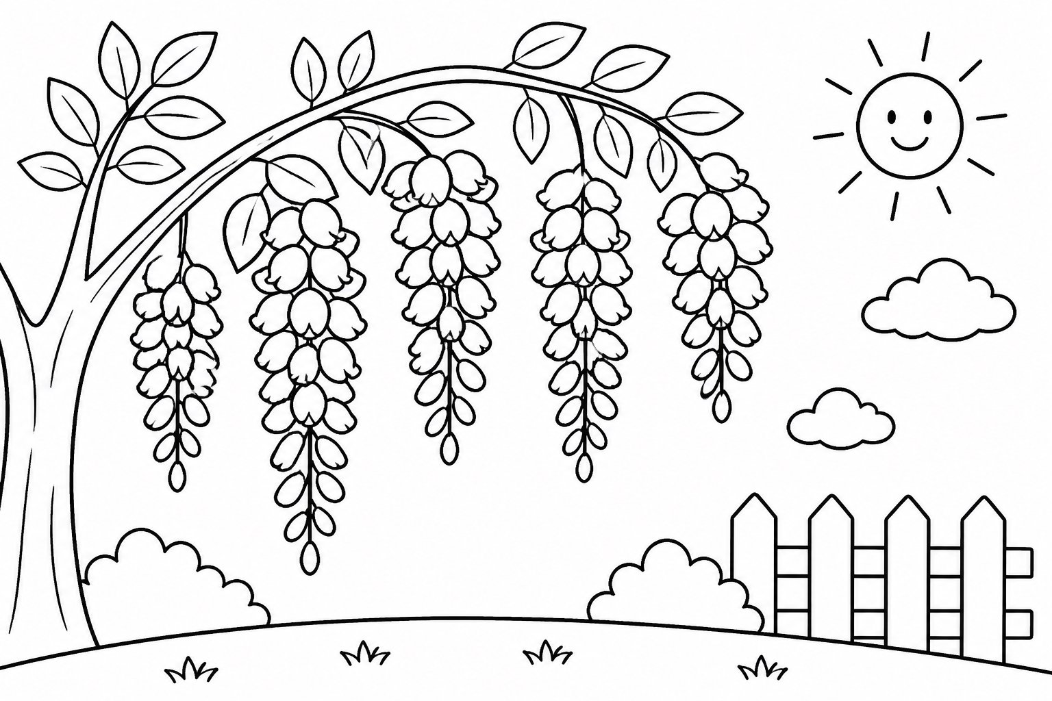 Racimos de flores de glicina colgantes