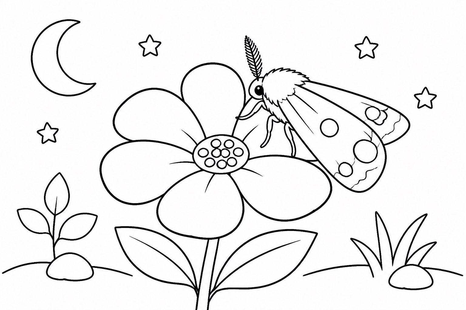 Mariposa noturna pousada em uma pétala