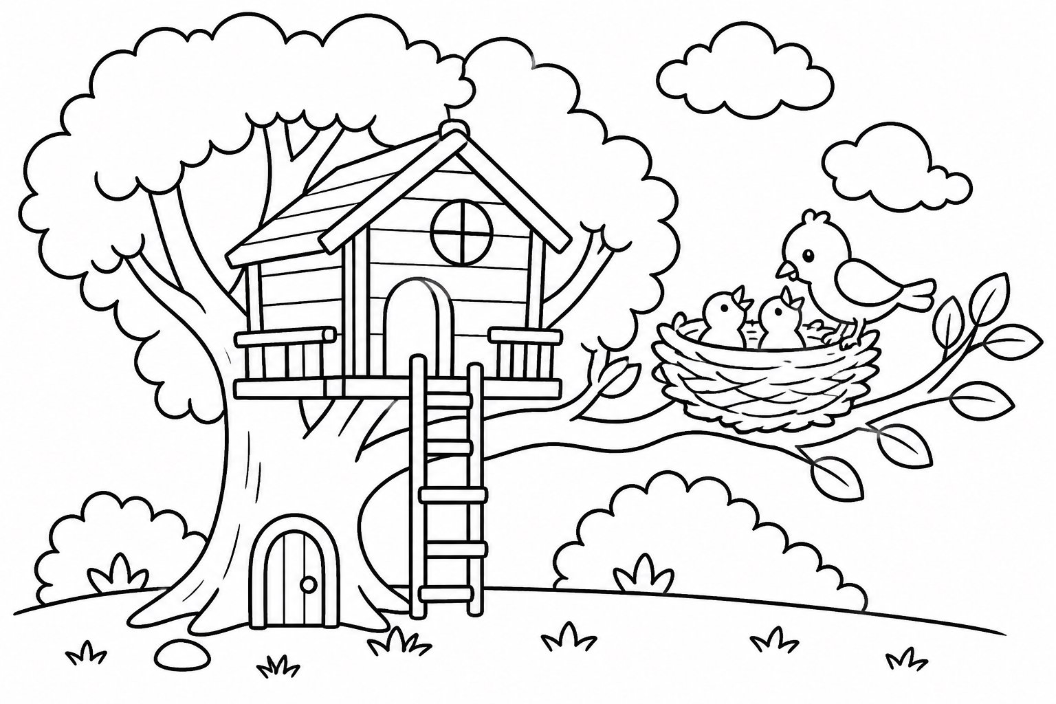 Nido de pájaro junto a la casa del árbol