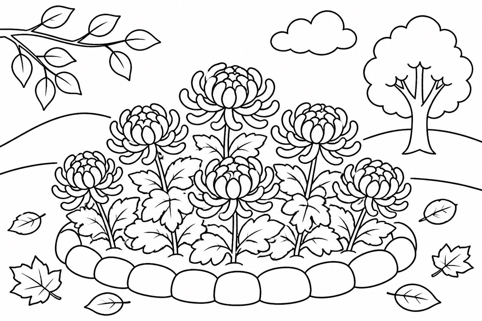 秋の菊の花壇