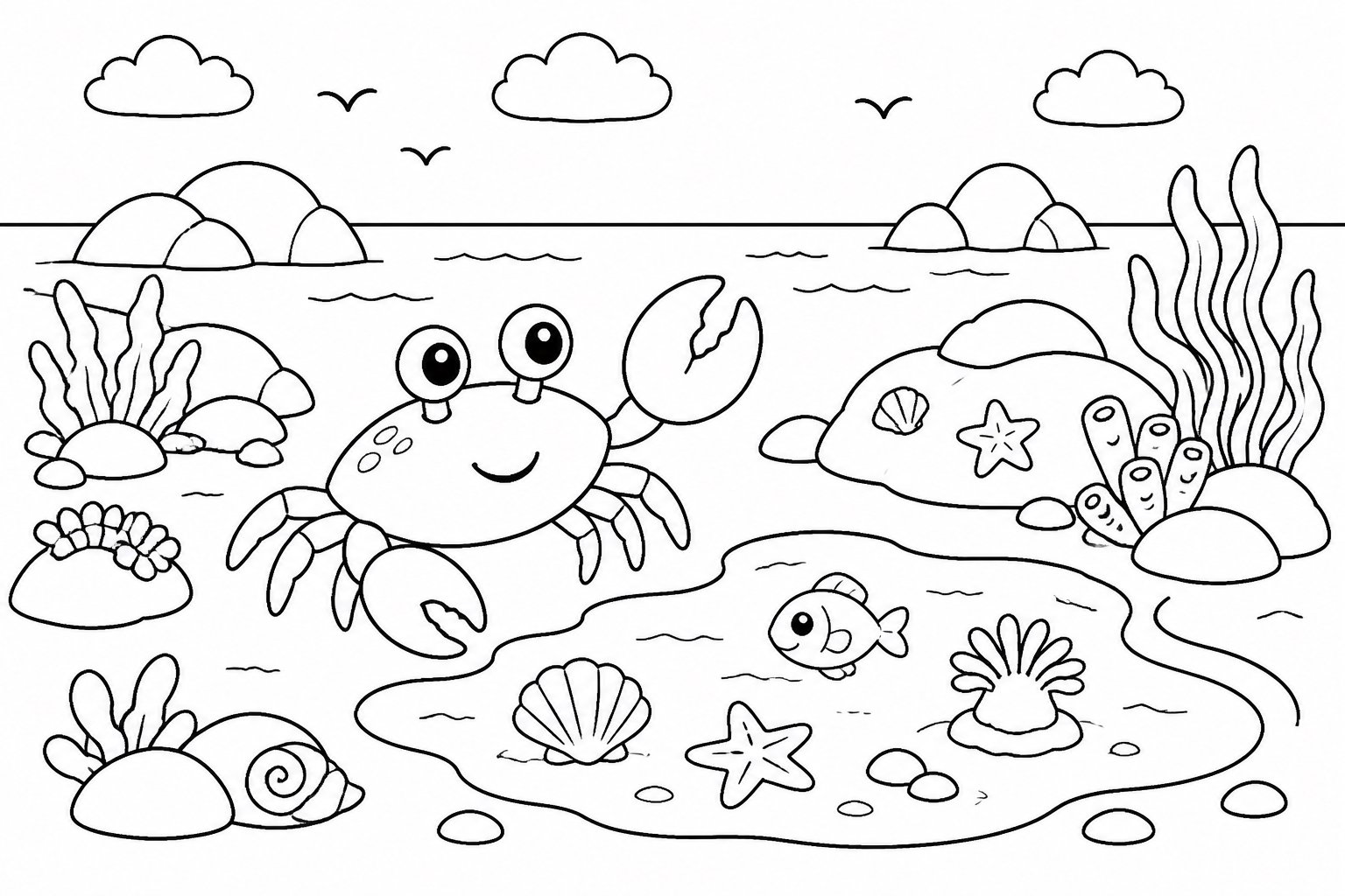 Crabe traversant la mare rocheuse