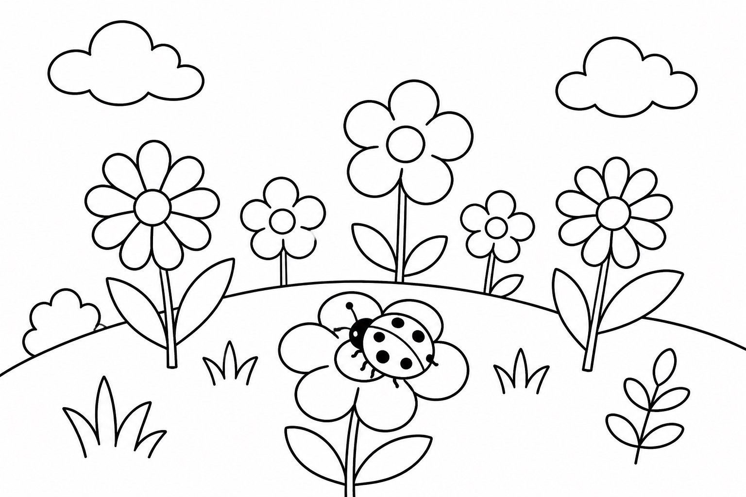 小花丛中的瓢虫