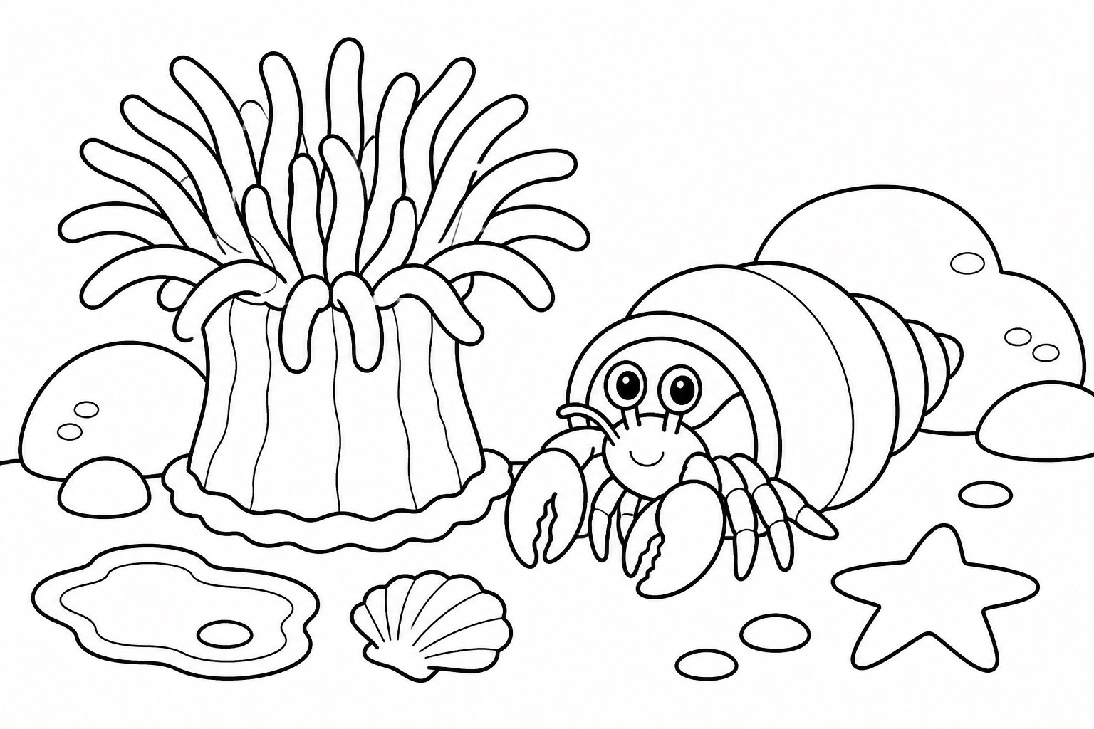 Einsiedlerkrebs neben einer Seeanemone