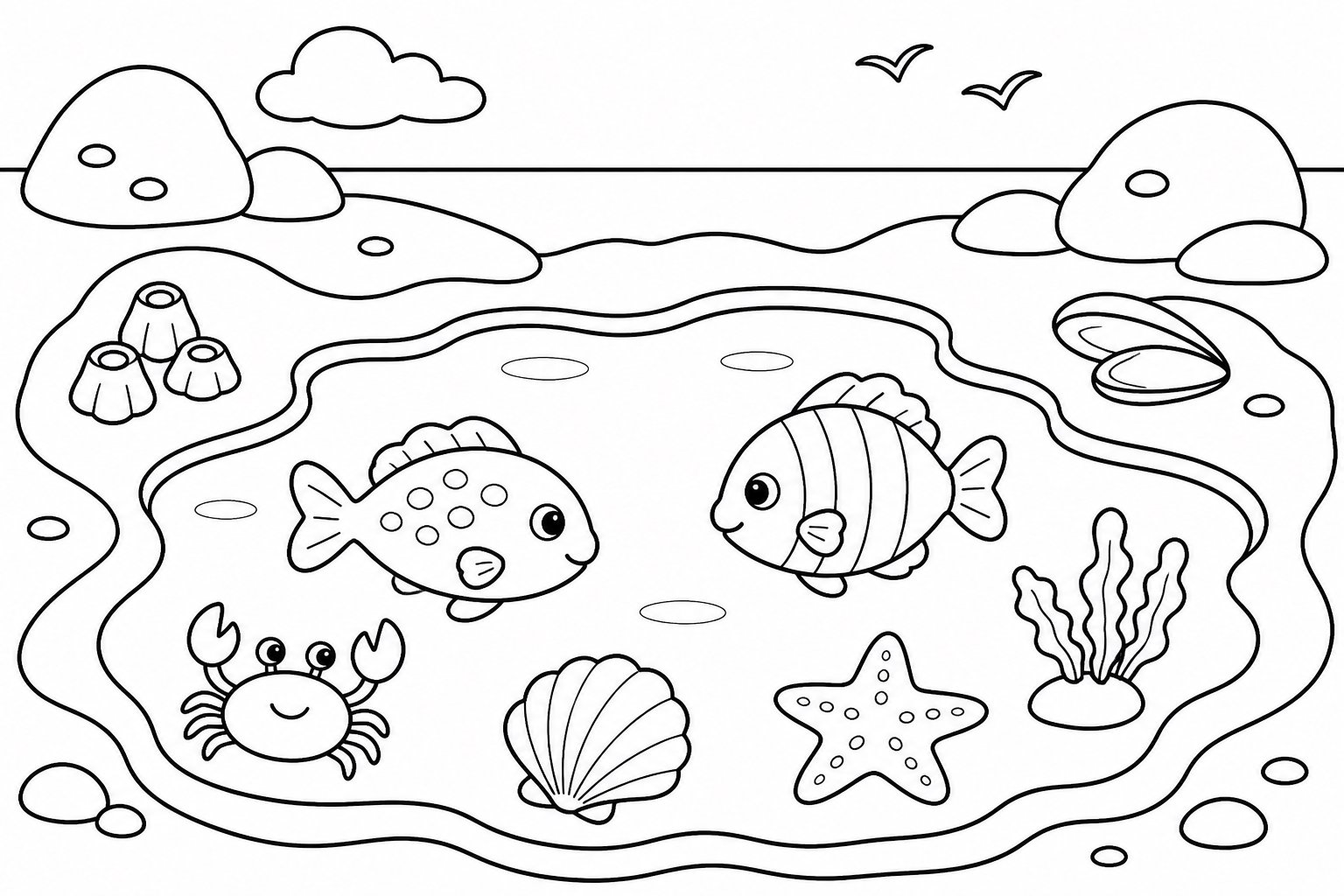 海边水洼里的小鱼