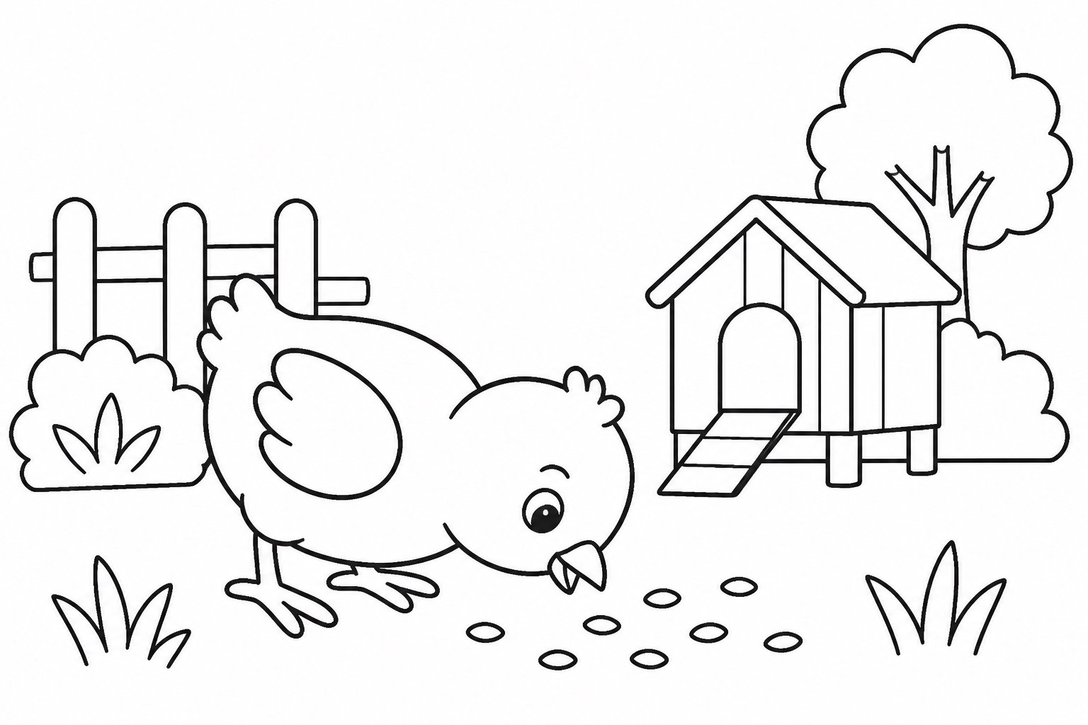 Poussin cherchant des grains
