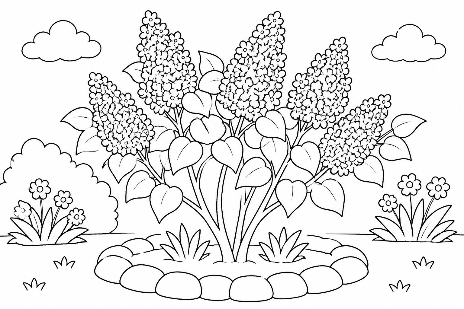 Lilases no canteiro