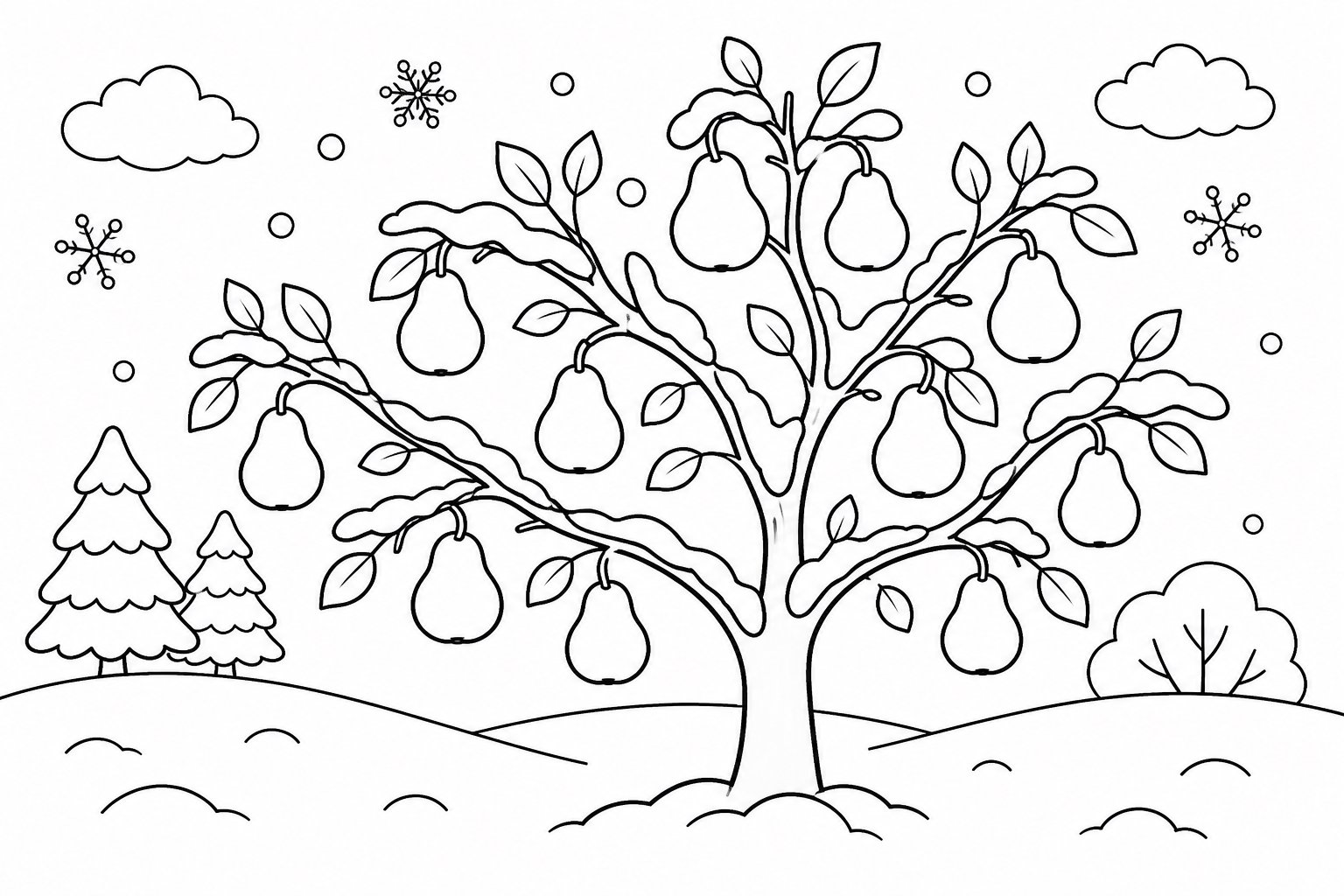 Peral asiático del huerto de invierno