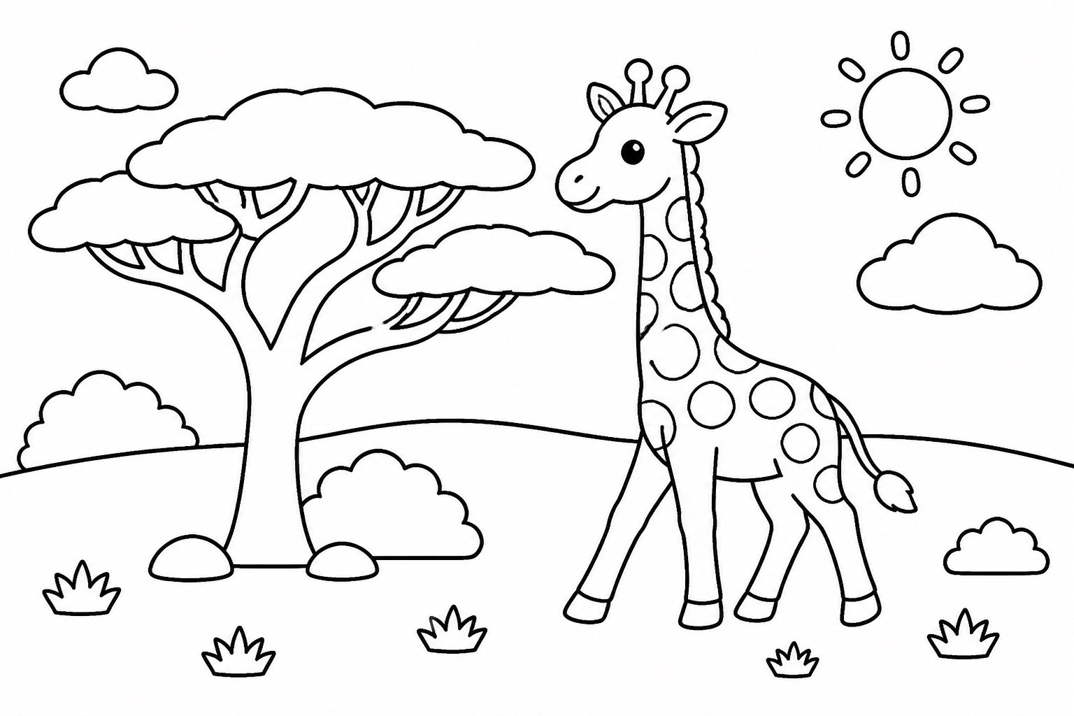 Girafe passant près d’un acacia