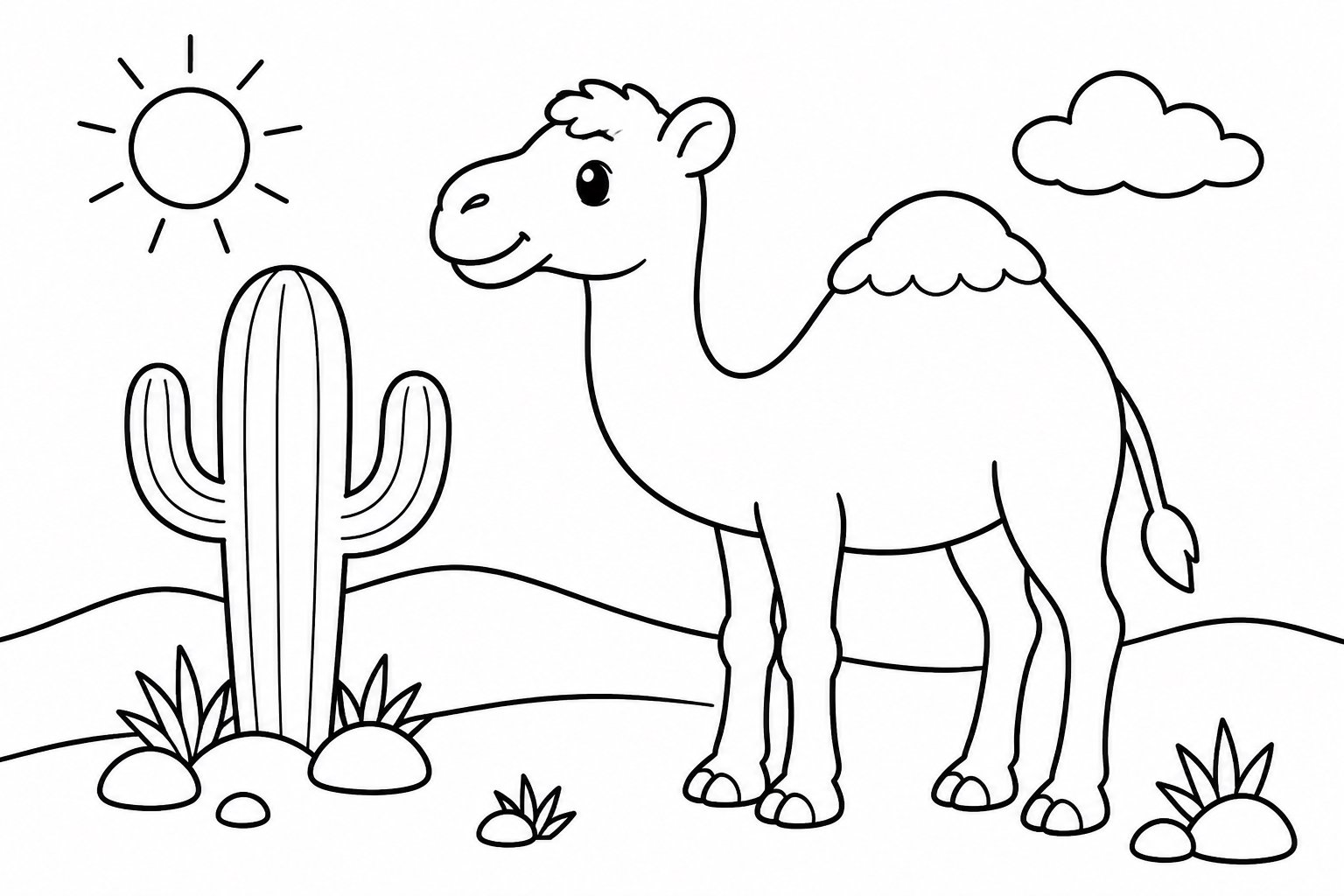 Chameau près d’un cactus du désert