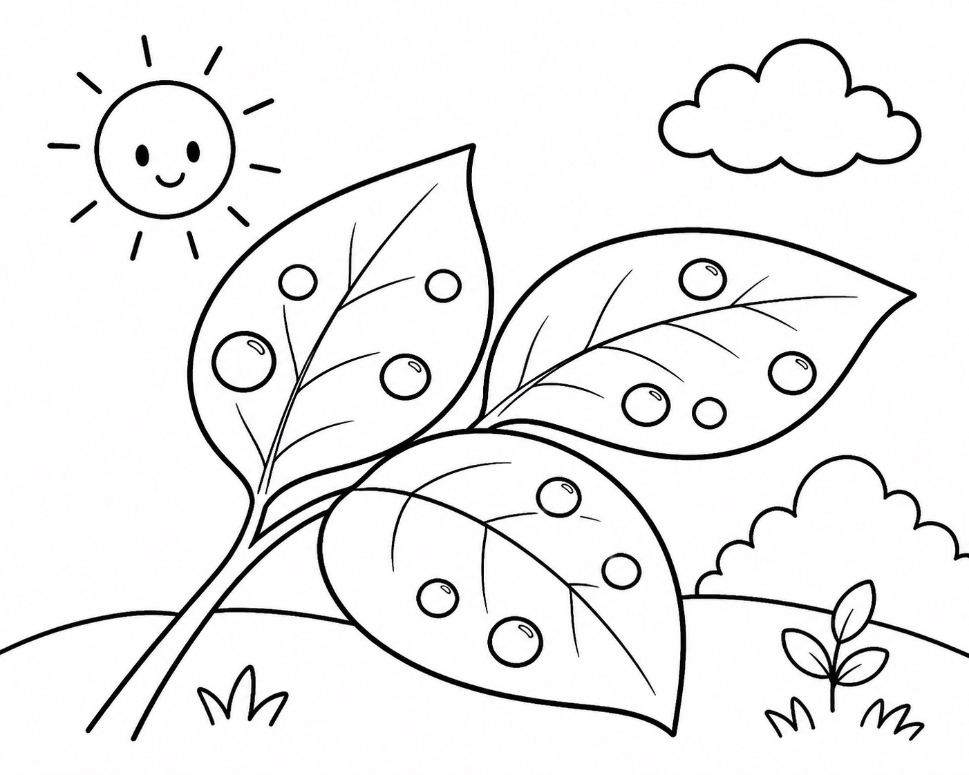 Feuille perlée de rosée au petit matin