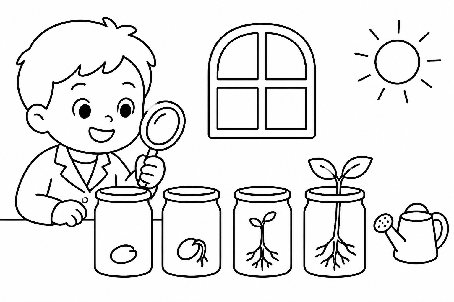 Expérience de germination des graines