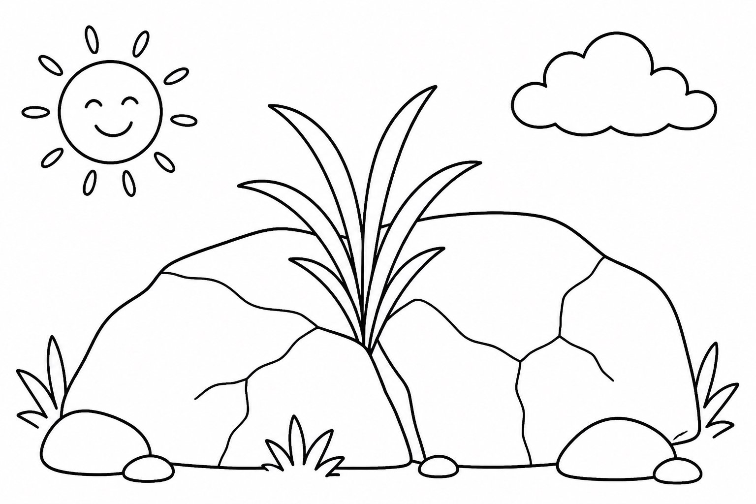 Petite herbe dans une fissure rocheuse