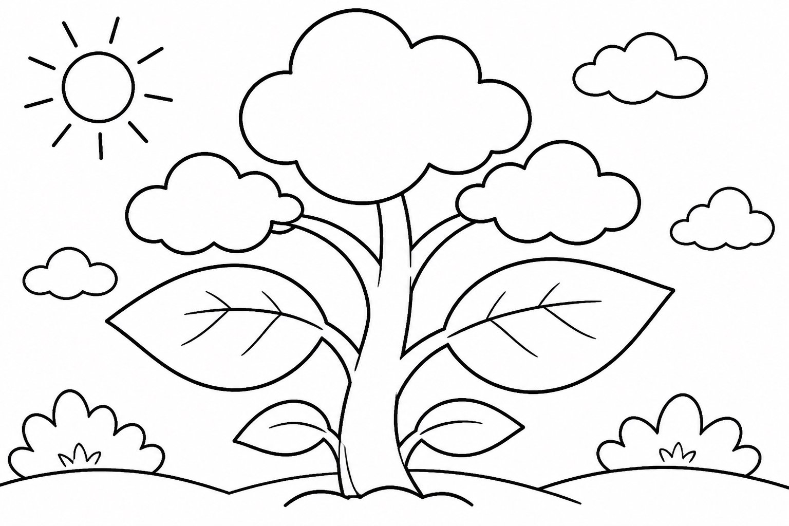 雲の形の葉を持つ大きな植物