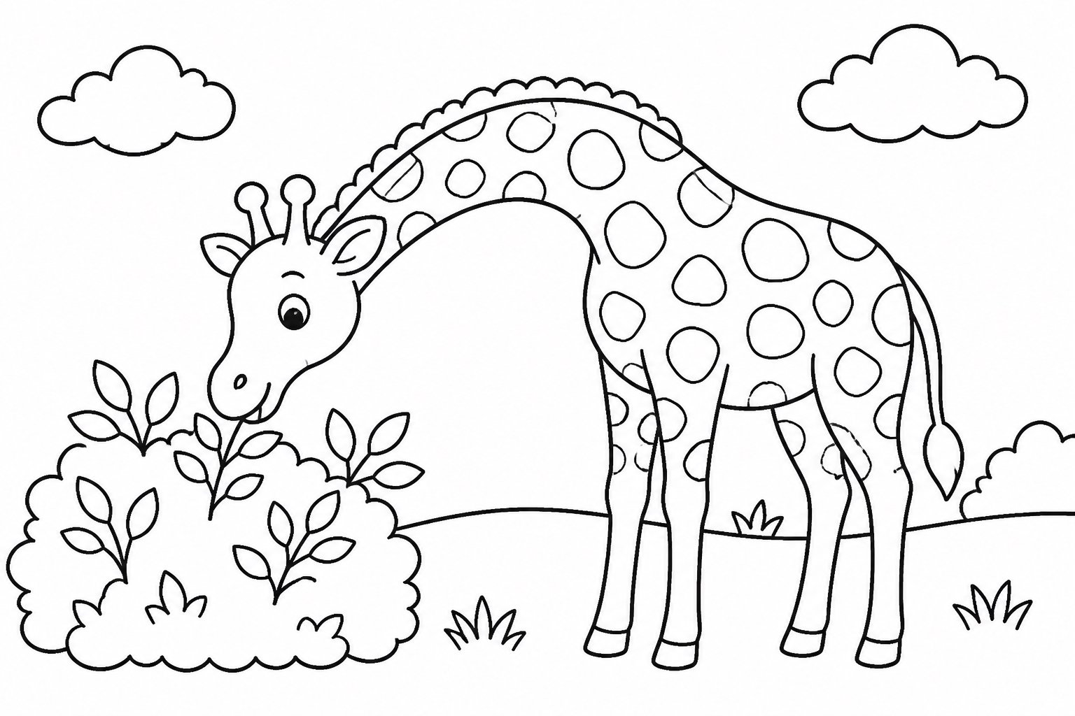 Girafe baissant la tête pour manger des feuilles d’arbuste