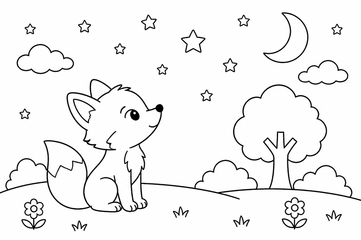 Pequena raposa olhando para as estrelas