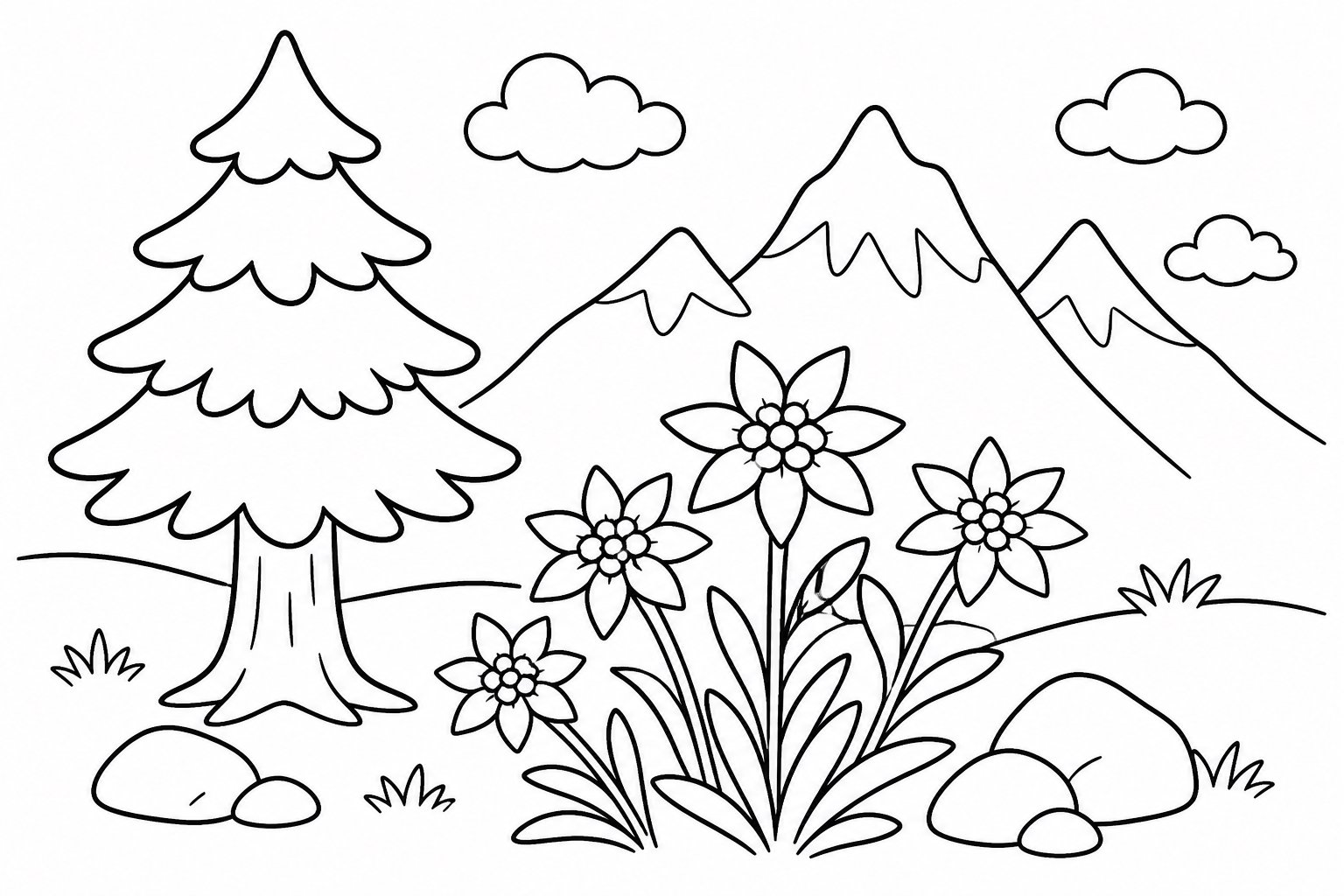 Fleurs alpines sous un pin
