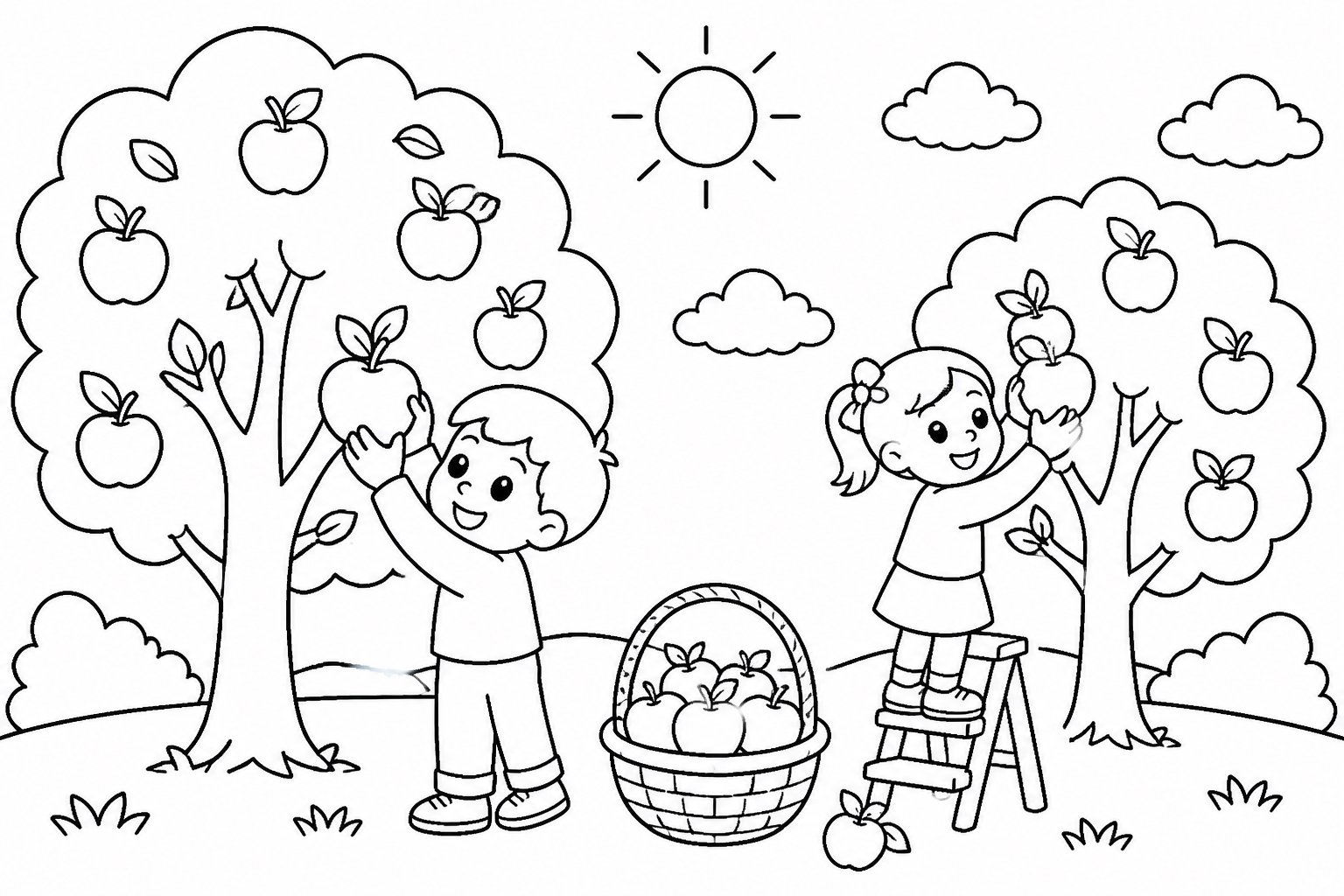 Cueillette des pommes dans le verger