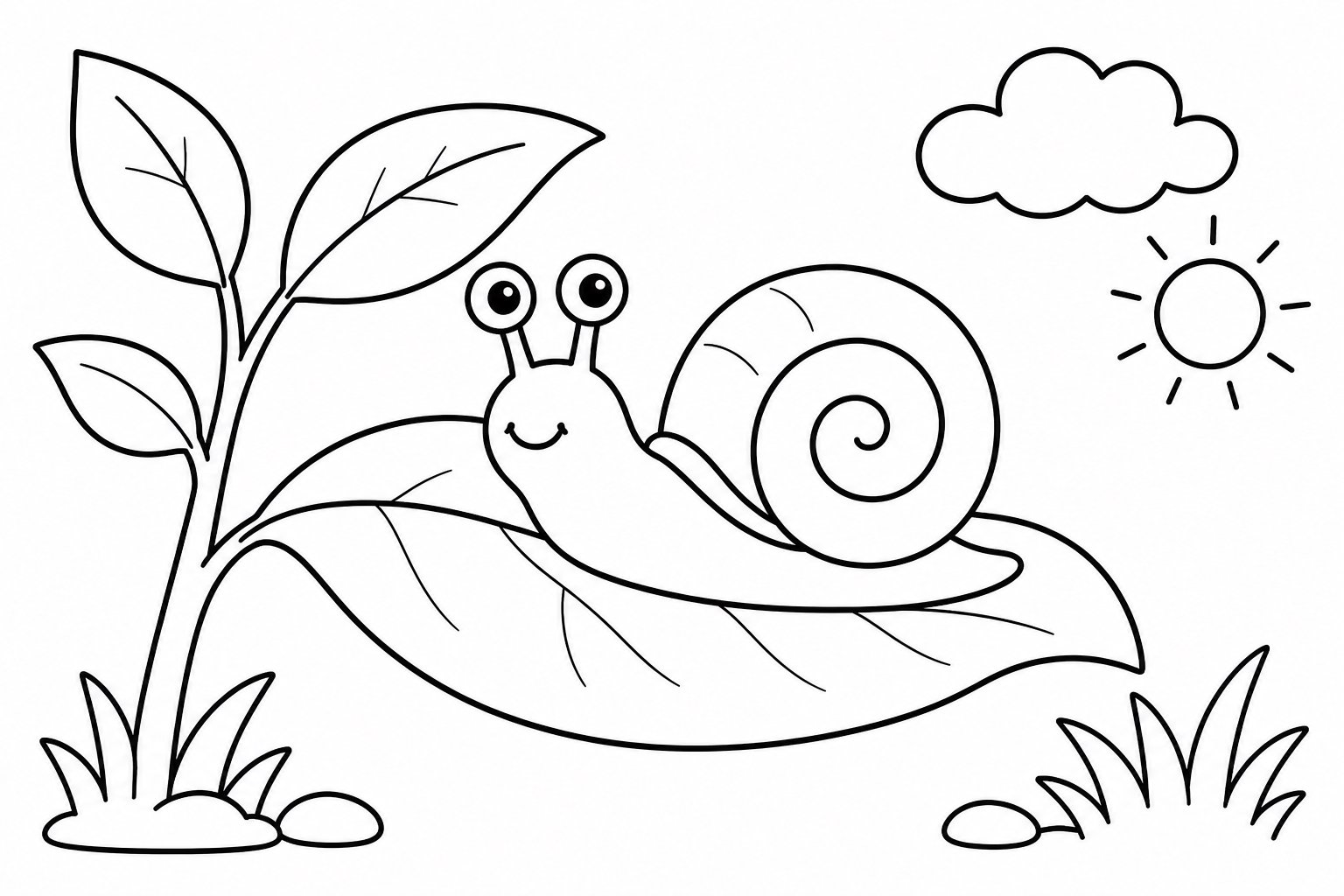 Eine Schnecke beim Kriechen über ein Blatt beobachten