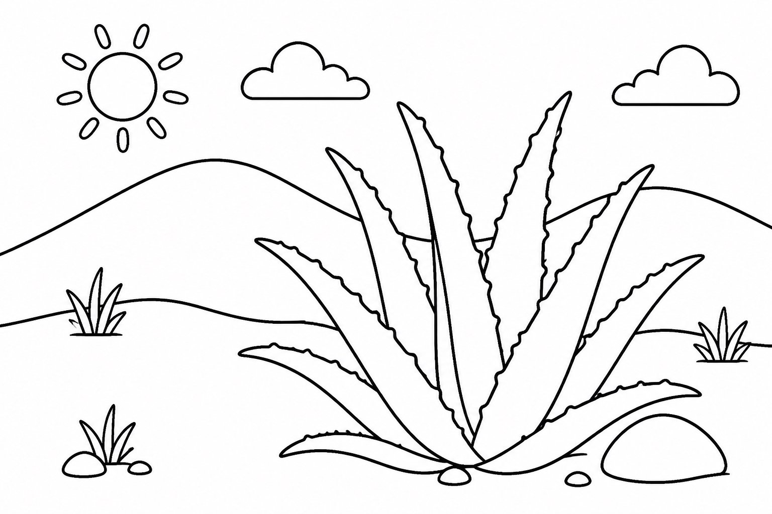 Aloe creciendo junto a las dunas