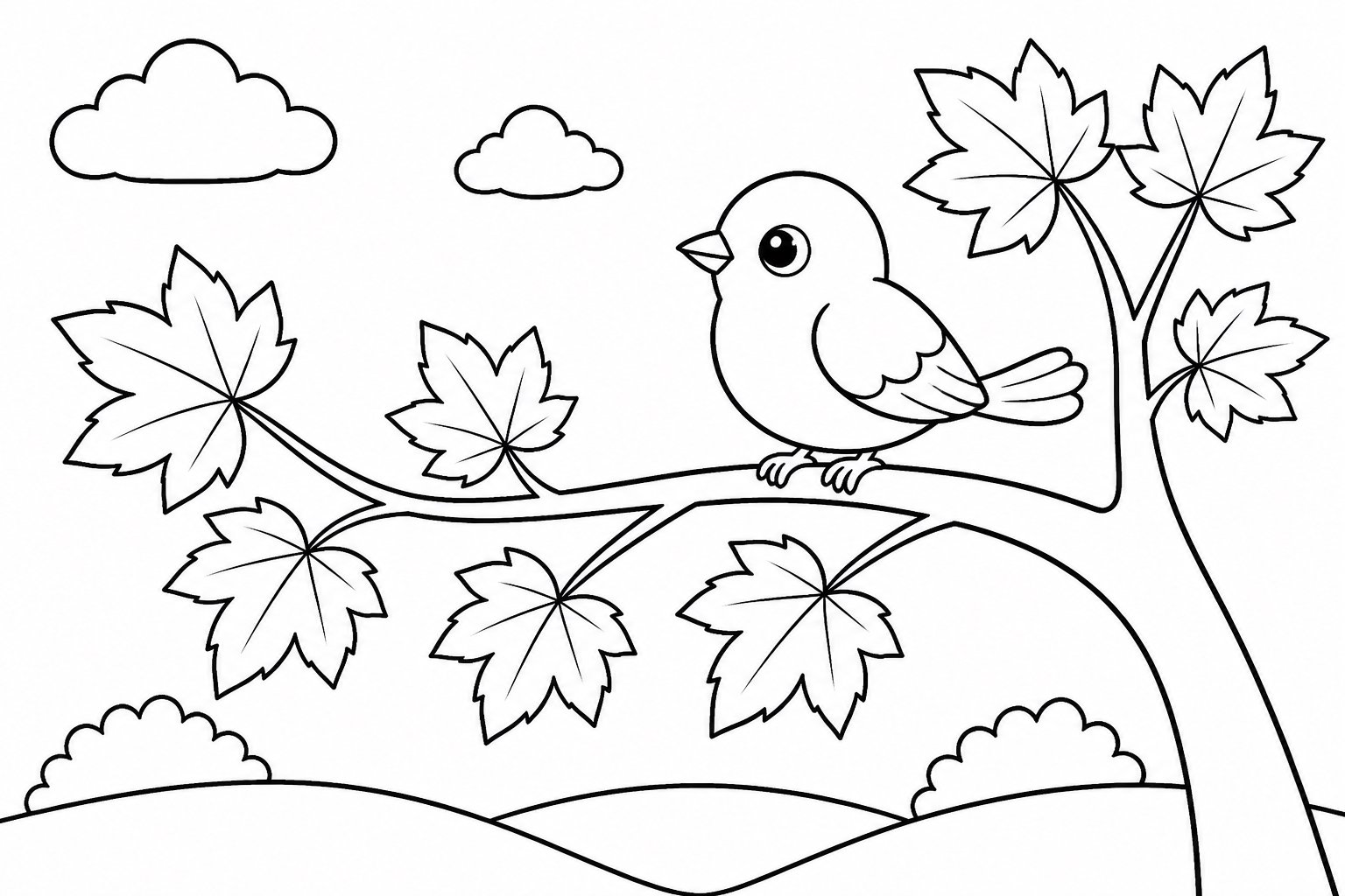 Petit oiseau sur une branche d’érable