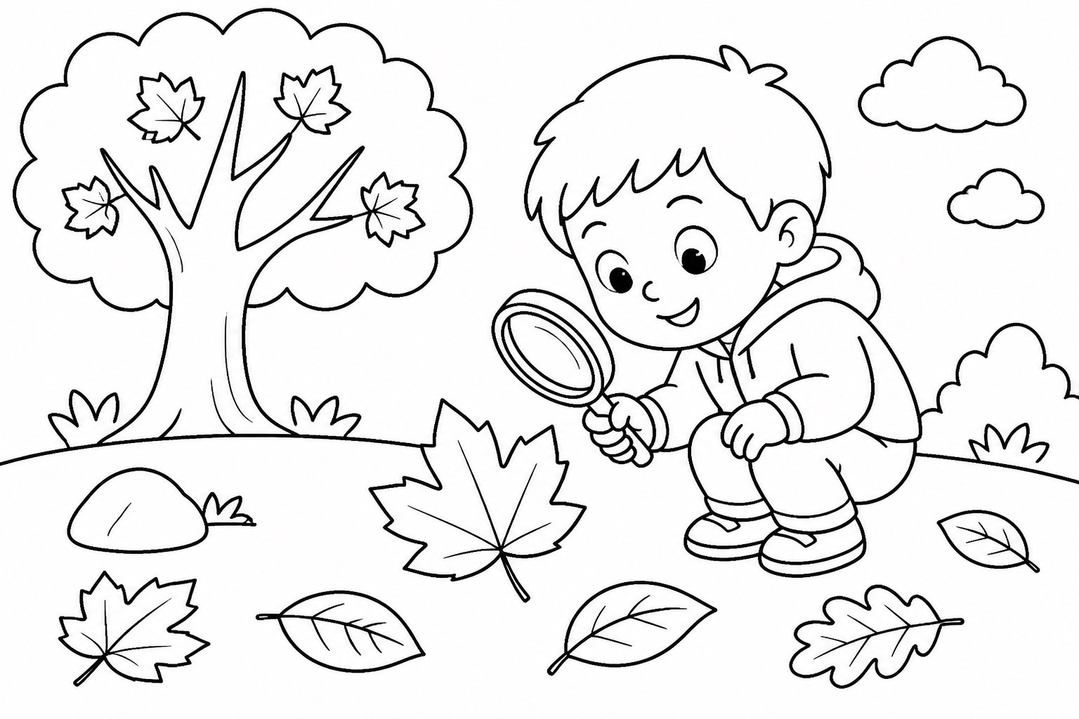 Enfant observant les feuilles d’automne